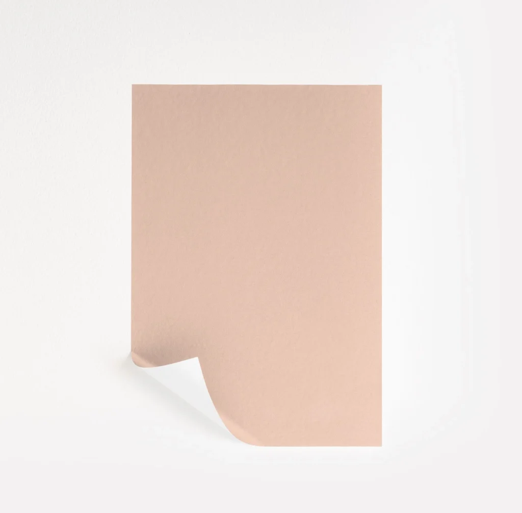 Peach Blossom by Sherwin-Williams