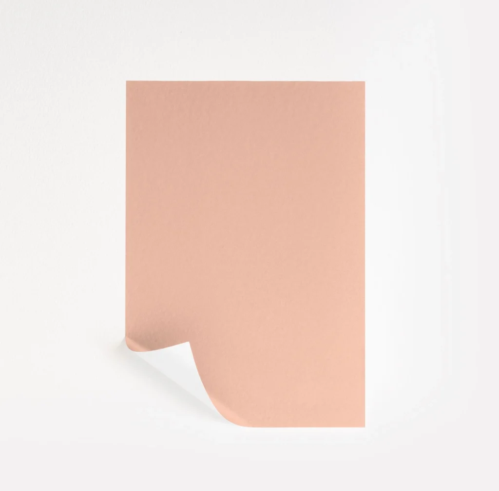 Springtime Peach by Benjamin Moore