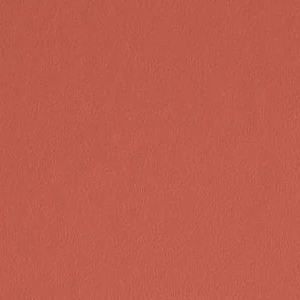 Adobe Orange by Benjamin Moore