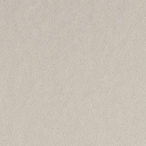 Balboa Mist by Benjamin Moore