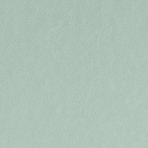 Break Time by Sherwin-Williams
