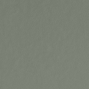 Card Room Green by Farrow & Ball