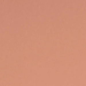 Coral Glow by Benjamin Moore