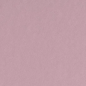 Damask Rose by Benjamin Moore