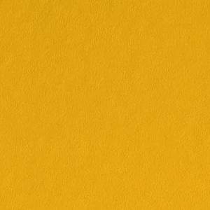 Goldfinch by Sherwin-Williams