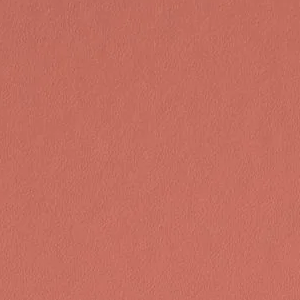 Lei Flower by Sherwin-Williams