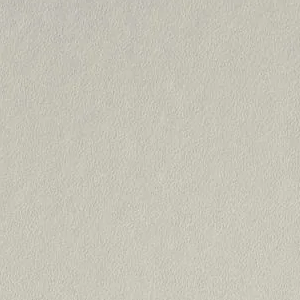 Light Pewter by Benjamin Moore
