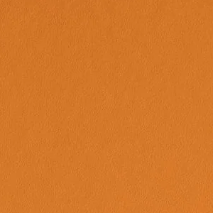 Navel by Sherwin-Williams