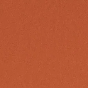 Orange Parrot by Benjamin Moore