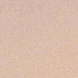 Peach Blossom by Benjamin-Moore