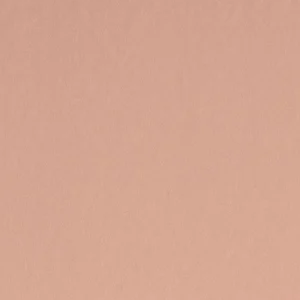 Peach Blossom by Benjamin Moore