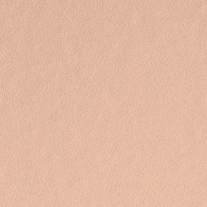 Perfect Peach by Benjamin Moore