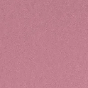Pink Blossom by Benjamin Moore