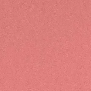 Pink Peach by Benjamin Moore