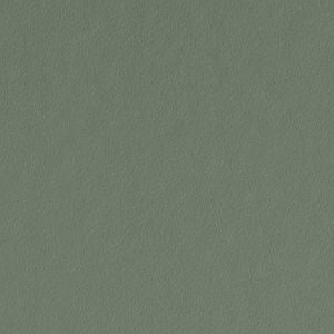 Privilege Green by Sherwin-Williams