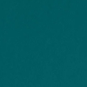 Really Teal by Sherwin-Williams