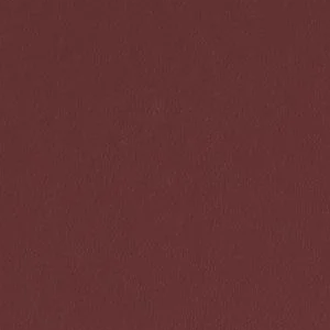 Red Theatre by Sherwin-Williams