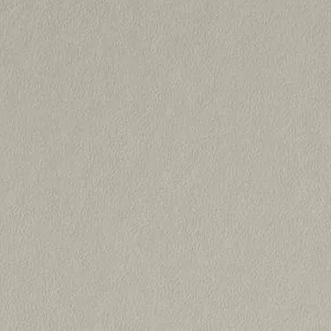 Revere Pewter by Benjamin Moore