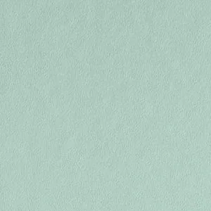 Robin's Nest by Benjamin Moore