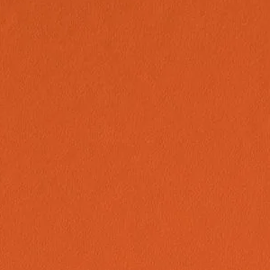 Rumba Orange by Benjamin Moore