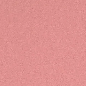 Salmon Pink by PPG