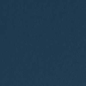 Salty Dog by Sherwin-Williams