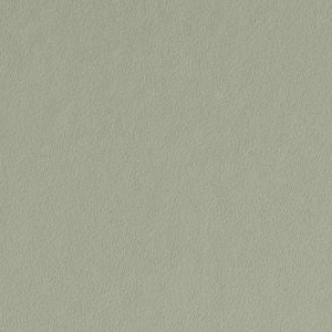 Saybrook Sage by Benjamin Moore