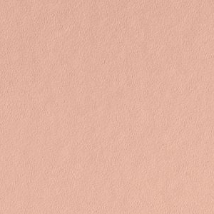 Springtime Peach by Benjamin Moore