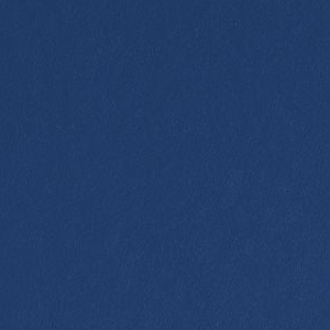 Starry Night by Benjamin Moore