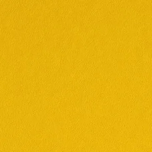 Sunshine by Benjamin Moore